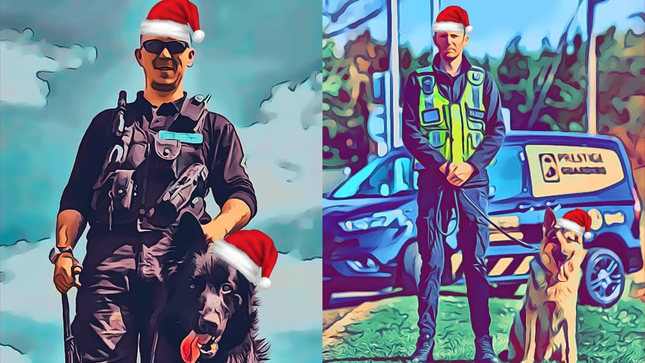Paws 4 Security Podcast: 2022 Xmas special