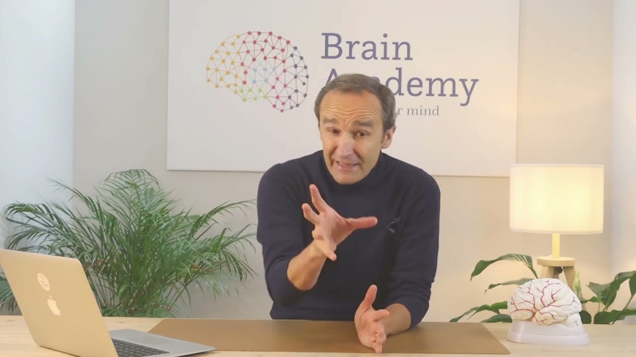 What is a Brain Coach?