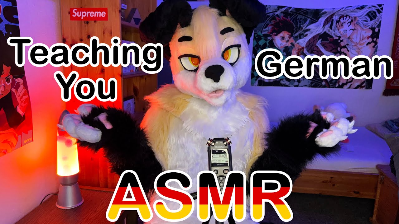 [Furry ASMR] Teaching You German x3
