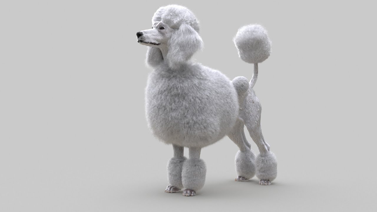 Adding Hair on Poodle using Ornatrix / 3ds max / V-Ray  - Real Time