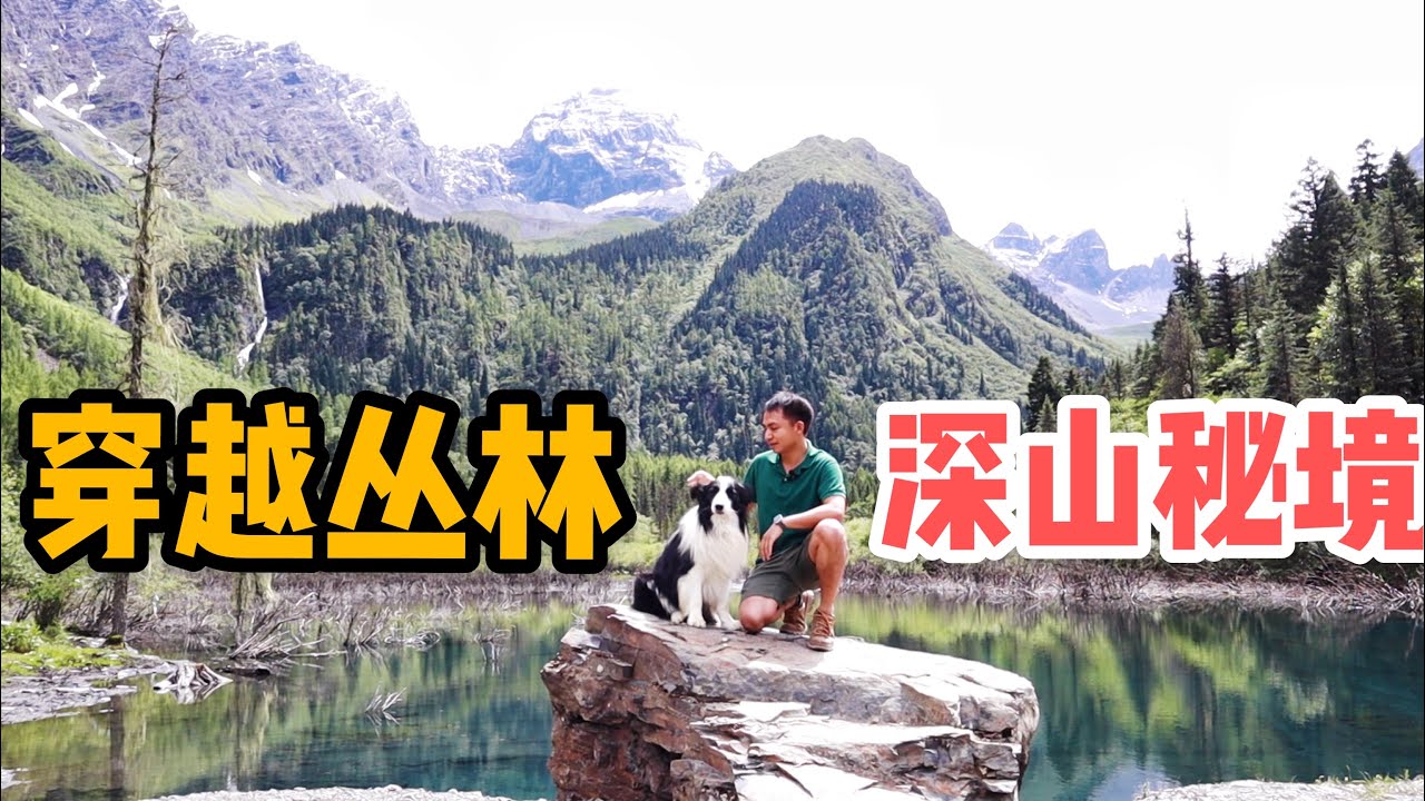 AL203集：一人一狗穿越丛林，寻找川西小众秘境霸王山，一路颠簸心惊胆战「Eng Sub」