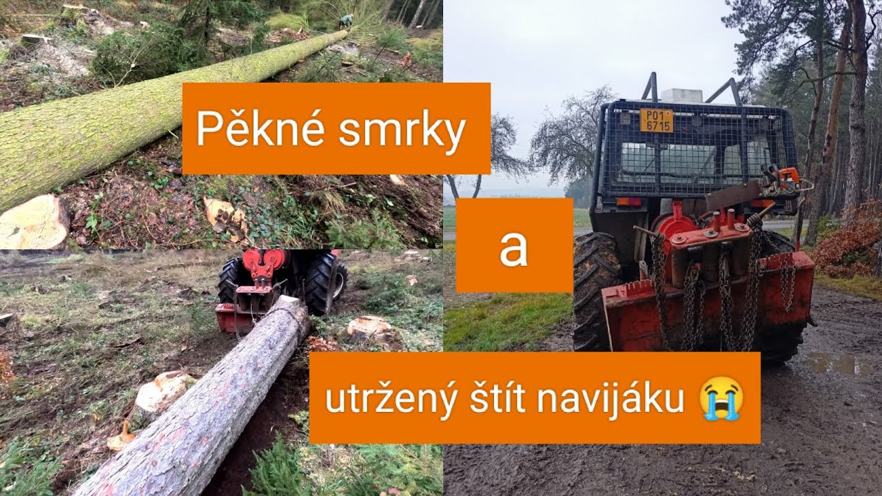 Těžba dřeva, Zetor 7245, Agama aga 2, Stihl Ms 462, Ms 261,Ms 440@jpforest8882