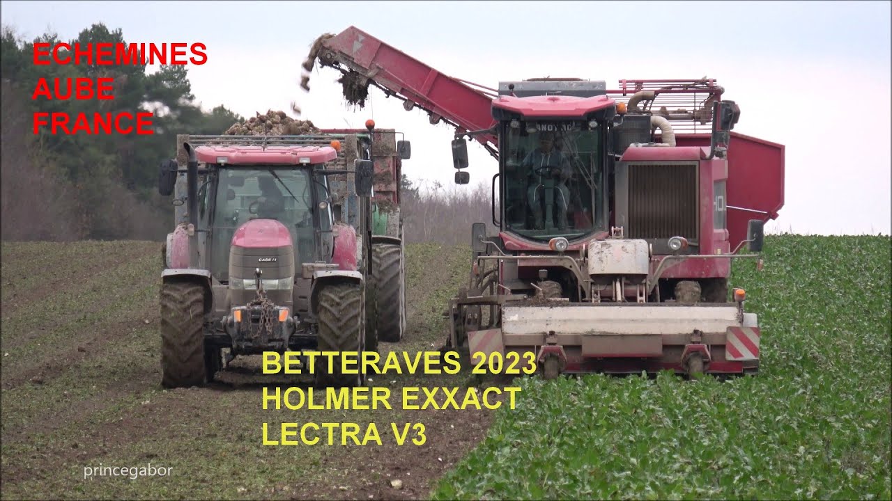 BETTERAVES 2023 / HOLMER EXXACT / LECTRA V3 / ECHEMINES / AUBE 10 / FRANCE