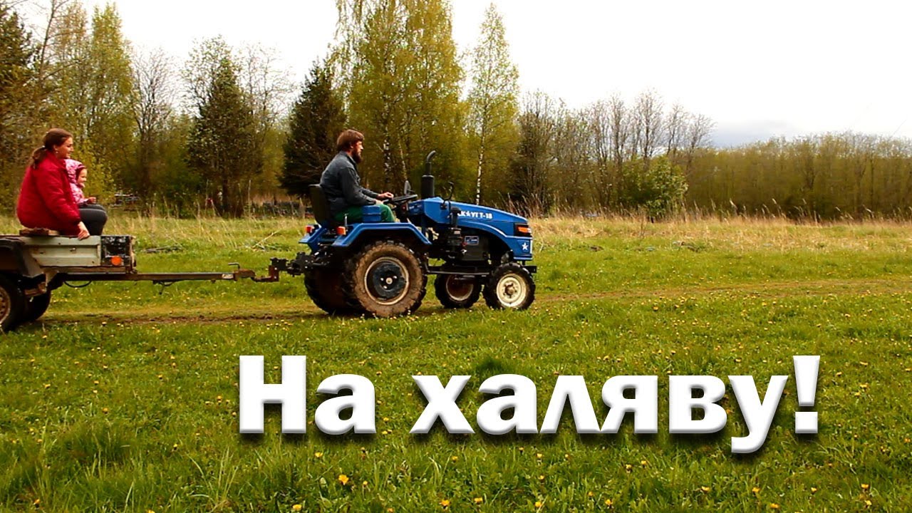 Спас от гибели пасеку// Нашел 25 тысяч на помойке// Очередные питомцы.