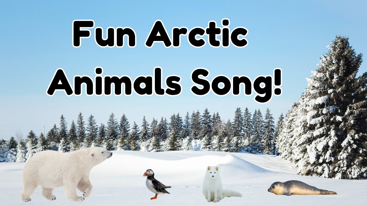 Arctic Animals Song for Kids | Fun Learning Song About Polar Animals in the Snow!