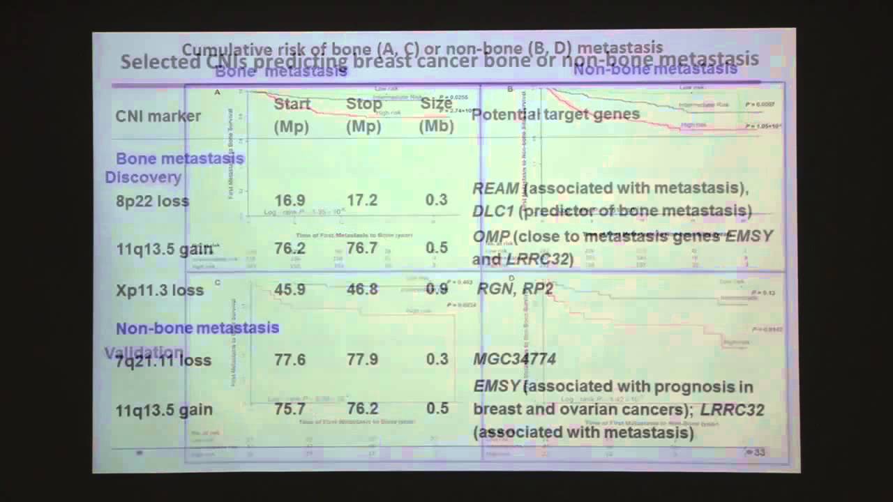 Copy Number Alterations and Breast Cancer