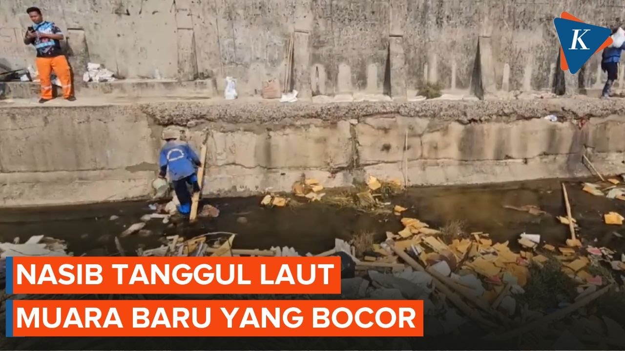 Tanggul Laut Muara Baru Bocor, Tambal Karung Pasir Tak Bertahan Lama