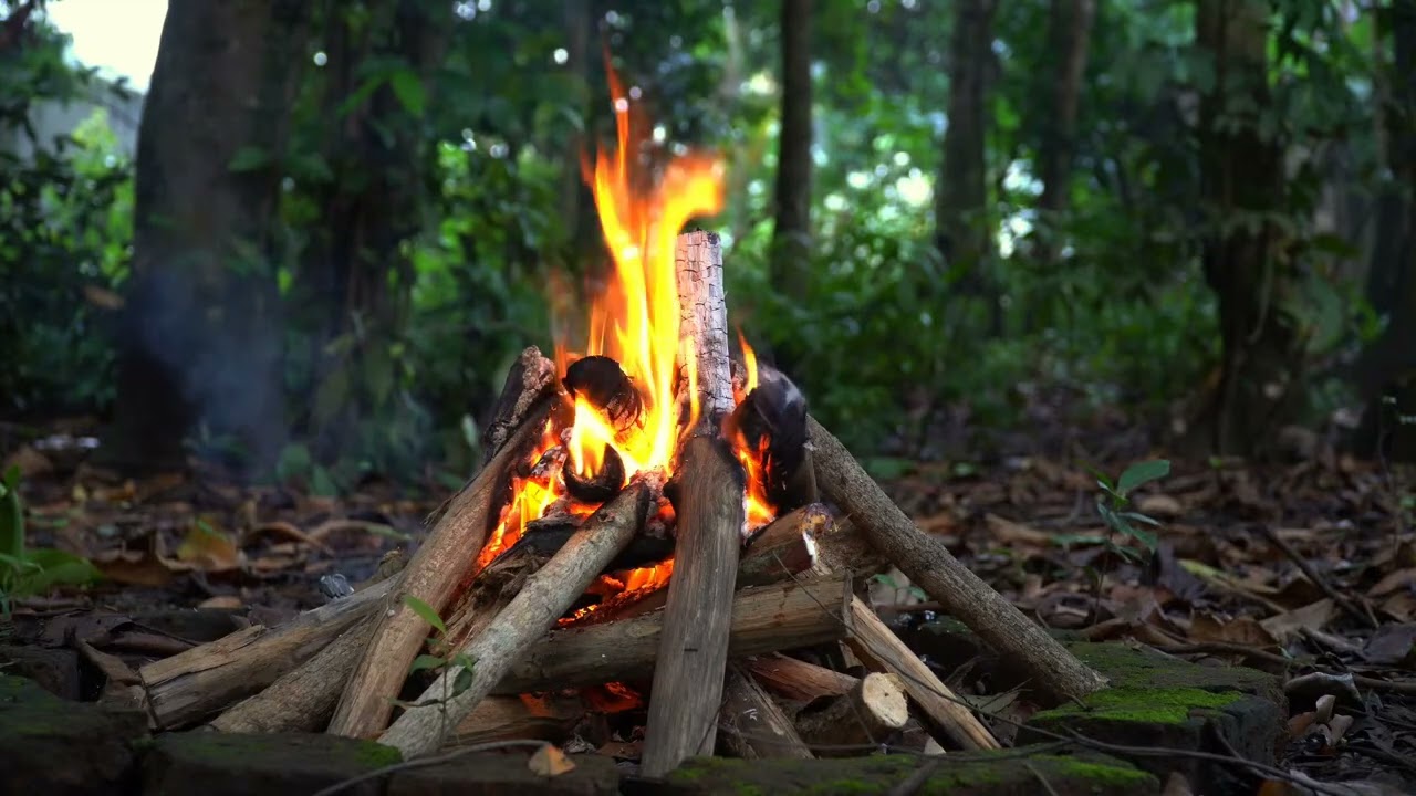 Fireplace Ambience for Meditation and Rest