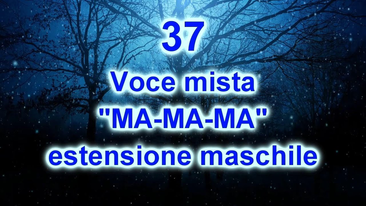 37 - VOCE MISTA - 