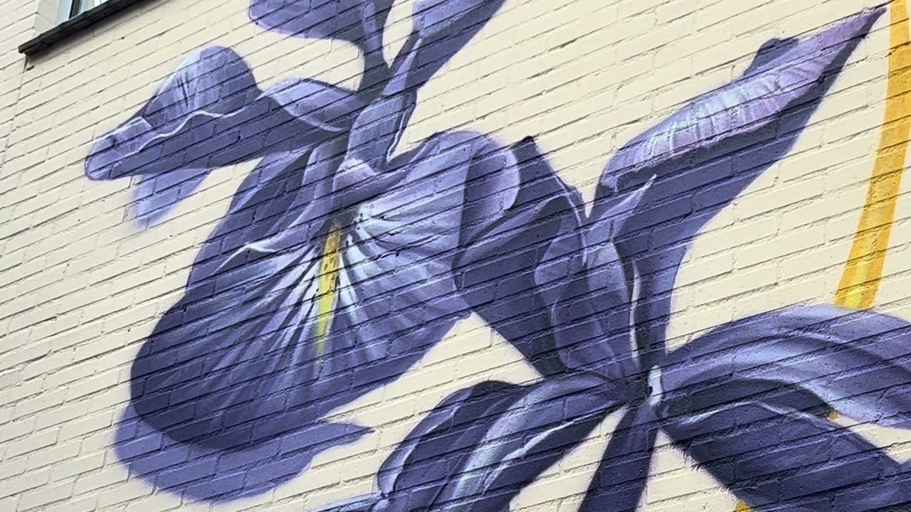 Zeven Irissen op het Achterom Novotel Den Haag [mural] - 2025-03-12