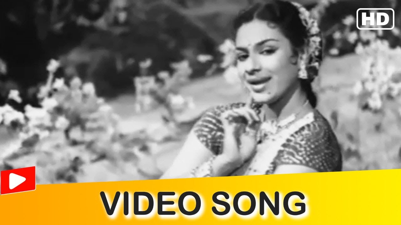 Aaja Chhaye Kare Badra Video Song | Nargis Dutt | Geeta Dutt | Lajwanti | Hindi Gaane