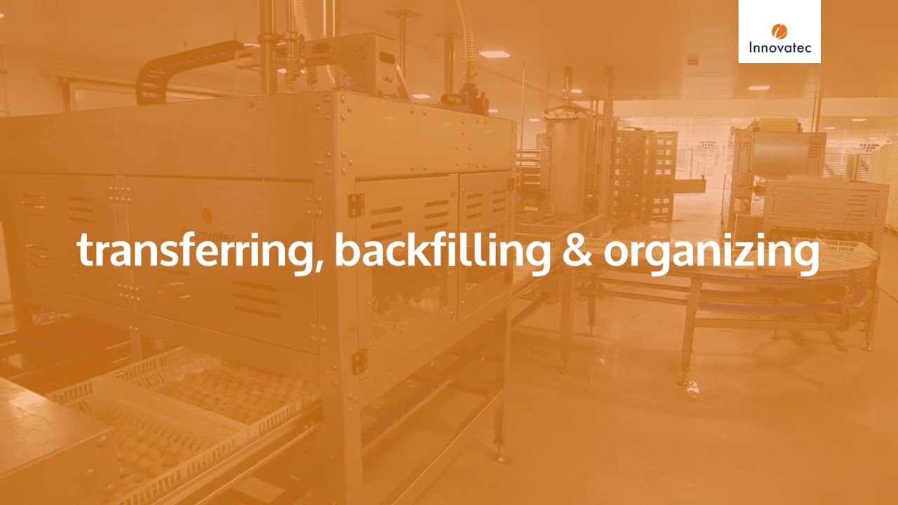 Innovatec Candling and Transfer Machine / Innovatec DölsüzYumurta  Ayırma ve Transfer Makinesi