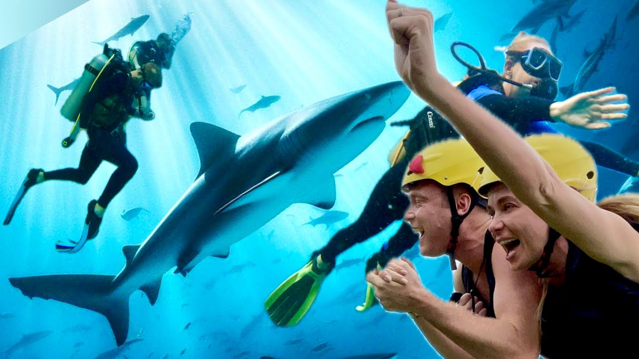 Urodziny na Filipinach - nurkowanie z REKINAMI, dżungla i inne głupotki