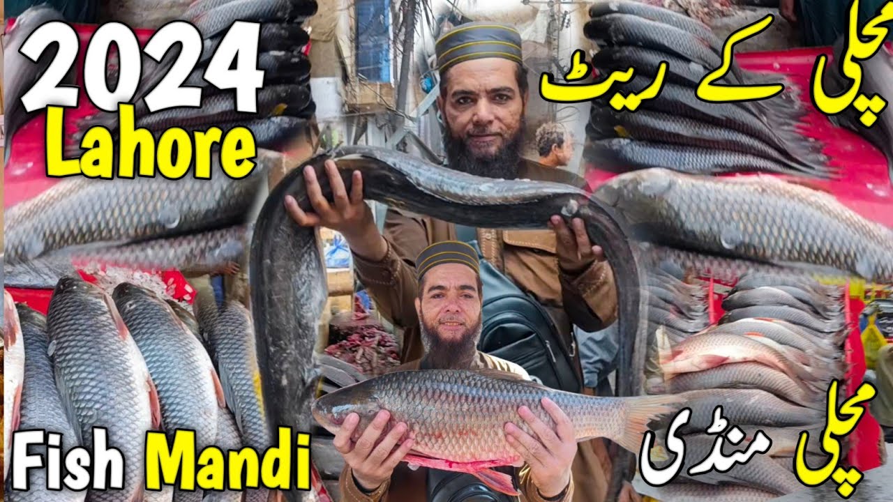 Machli ka Rate 2024 Fish Rate 2024  today  Rate Machli Mandi Lahore | Lahore ki  bari machli Mandi
