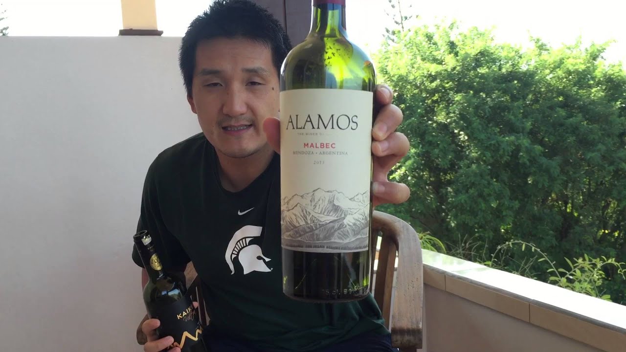 Argentinian Malbec Wines