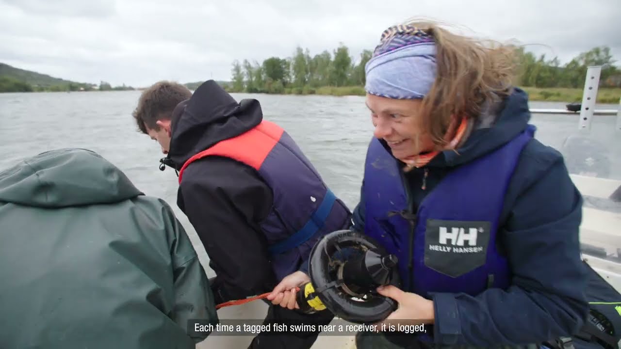 Störens återkomst, en film från Havets Hus i Lysekil