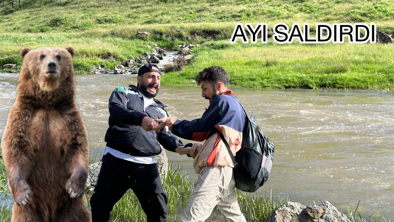 KAMP YAPARKEN AYI SALDIRDI 🐻