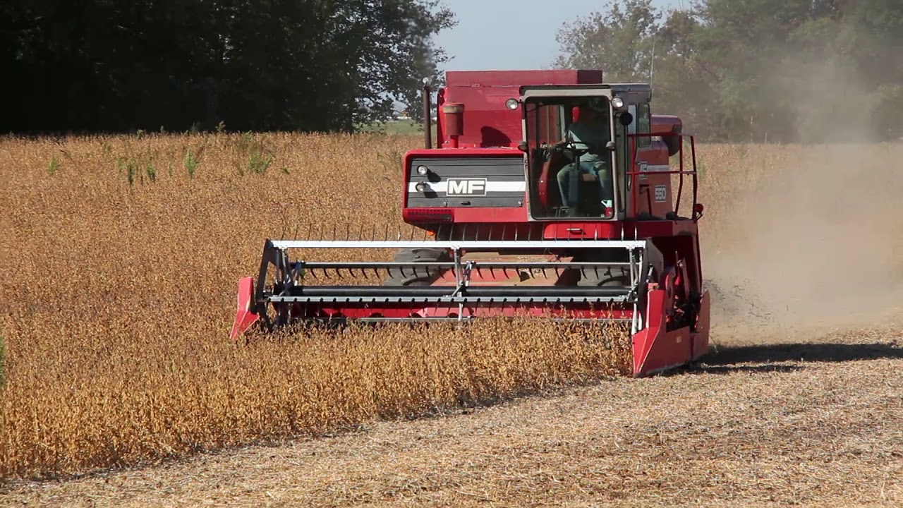 Soybean Harvest 2017