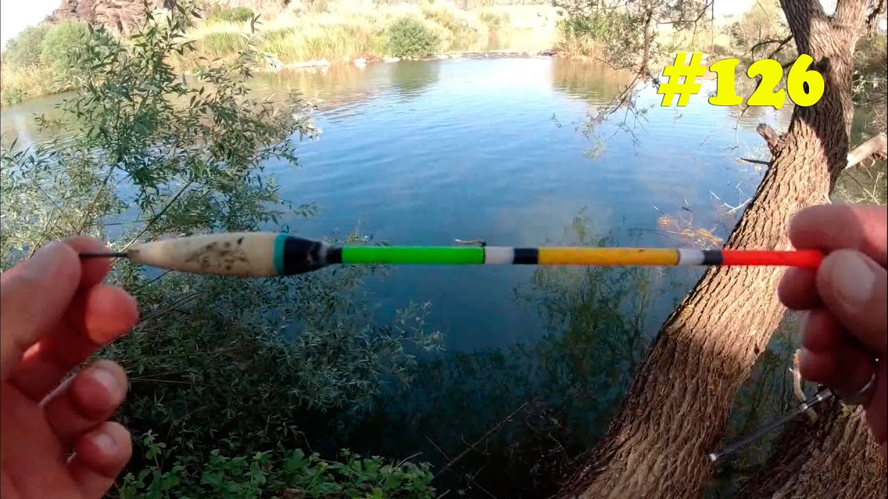 Поплавковая рыбалка. Методы охоты на кефаль. Как поймать в реке рыбу с куриной печенью?