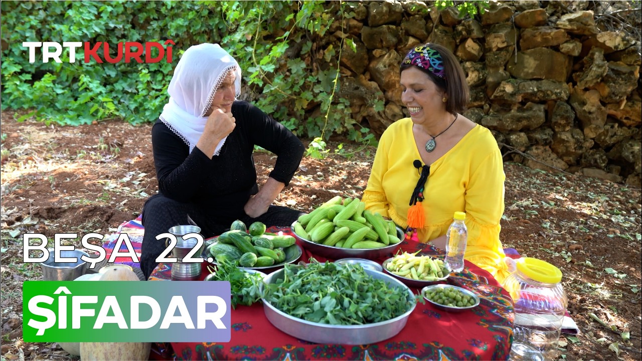 Şîfadar - Beşa 22.(Mardin/Midyat)