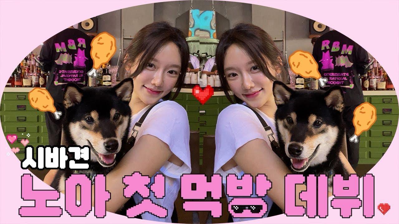 시바견 노아 의 첫 먹방🍗: BHC 뿌링클 VS 건강식들!