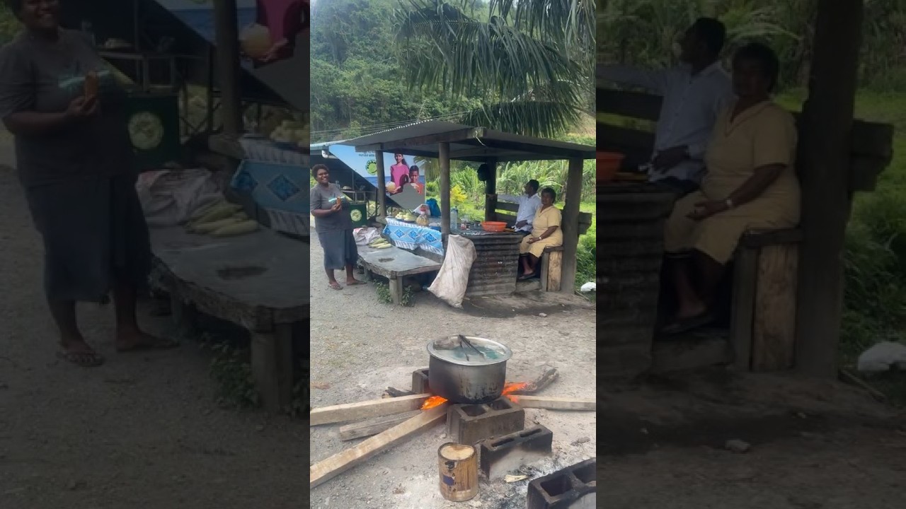 🇫🇯 Fiji&rsquo;s Coral Coast Road Trip 🚗- Scenic Drive from Nadi to Suva #travel #fiji #nadi