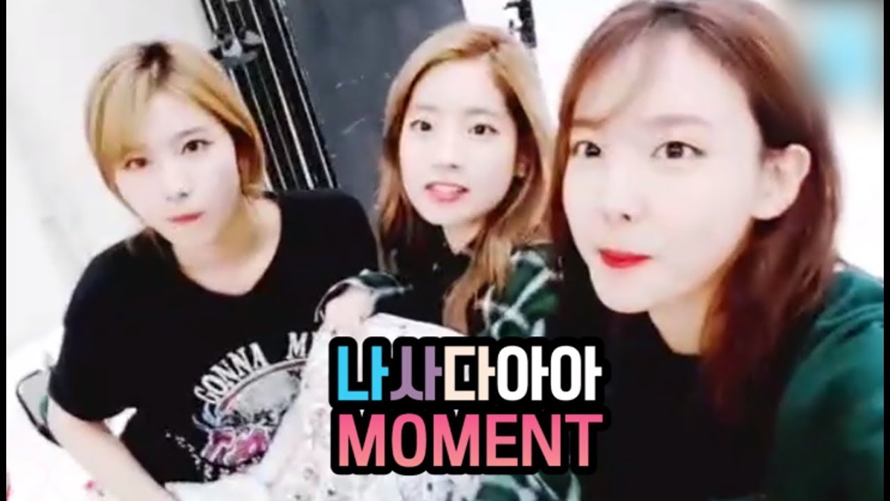 [트와이스하세요] 나사다아아 모먼트