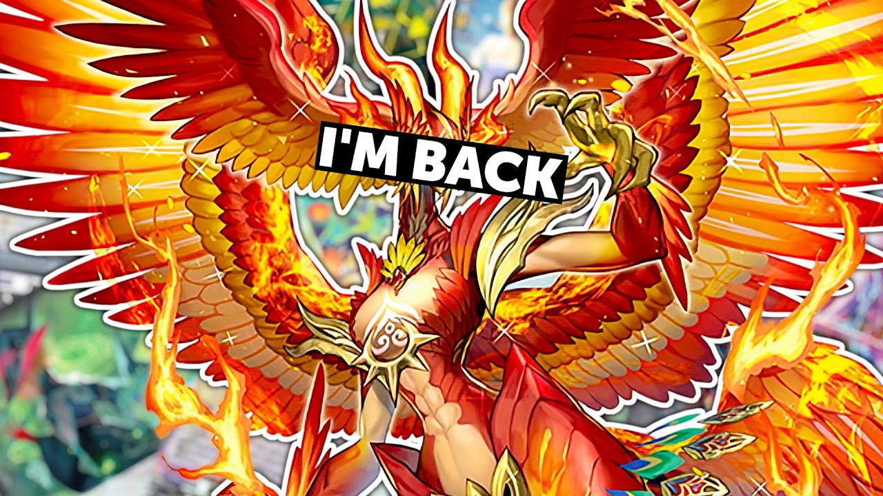 Nirvana Jheva IS BACK?!