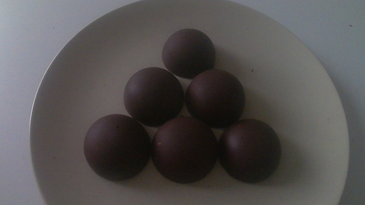 Dome en chocolat (le petit cuistot)