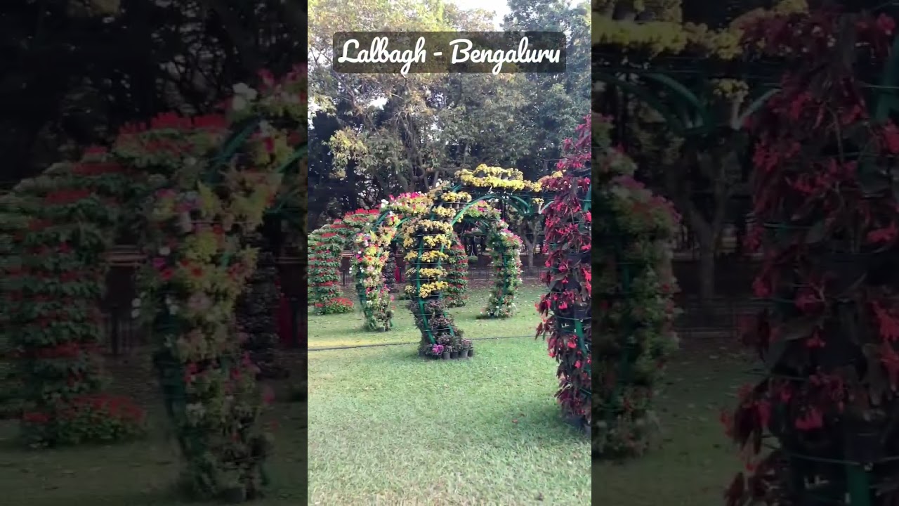 Lalbagh - Bengaluru
