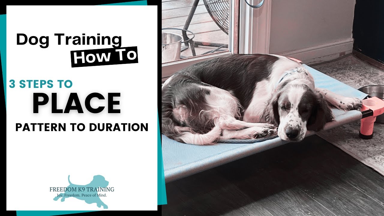 Place - Freedom K9 Training