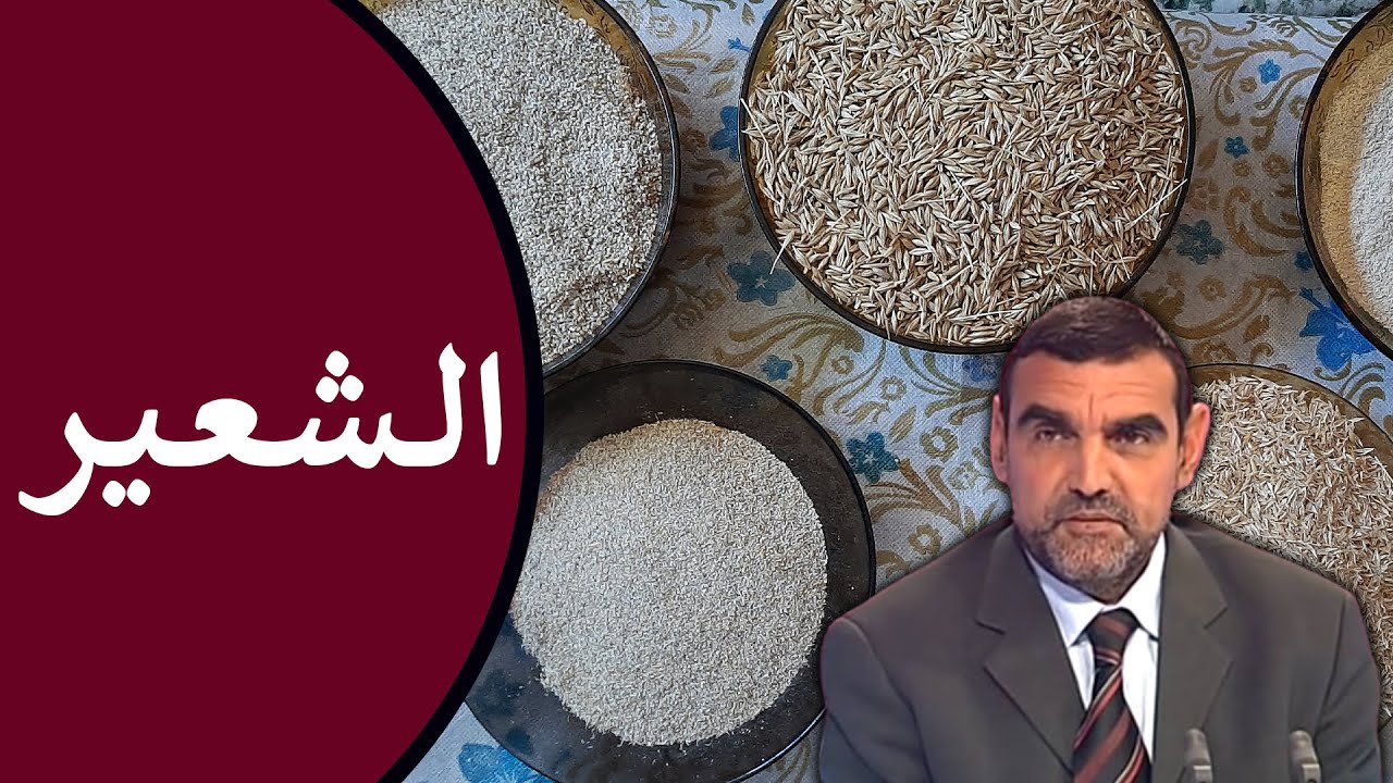 🔸 الشعير 🌾 فوائده : للتوتر العصبي، للقولون، للسكري ولمرضى السرطان 🍃 د. محمد الفايد #نخل_ورمان_ملخص