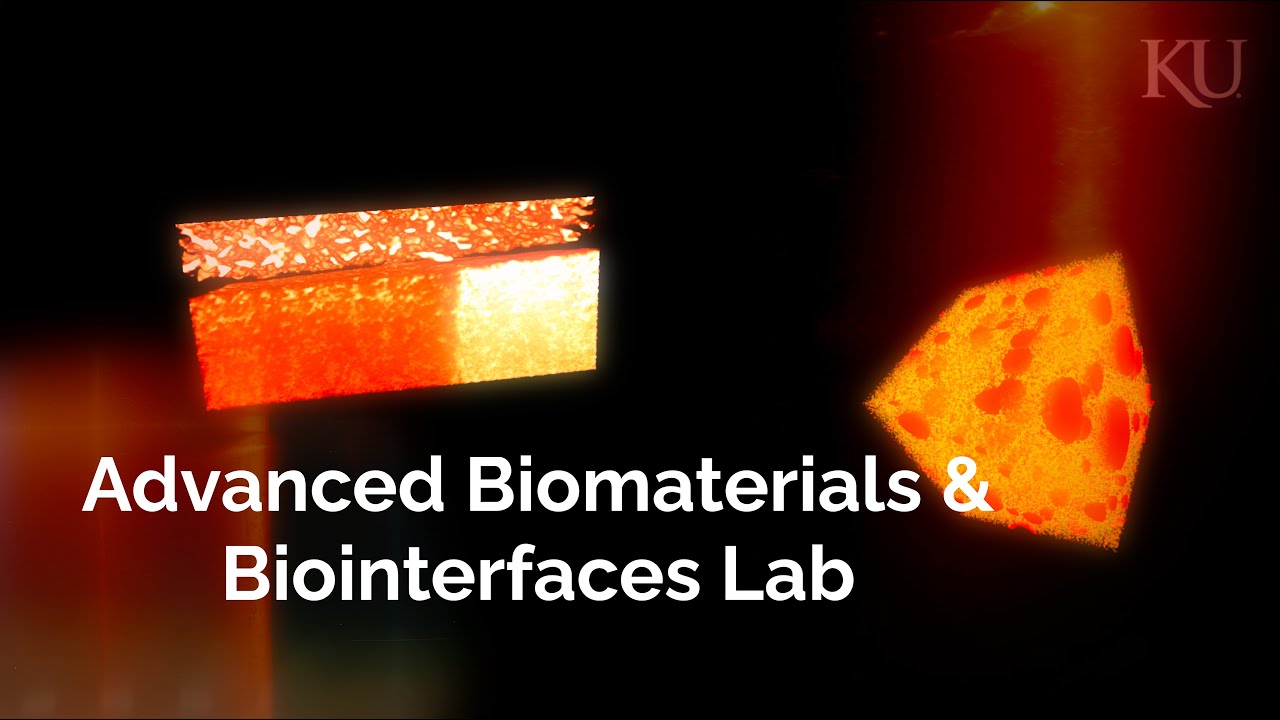 Advanced Biomaterials and Biointerfaces Lab