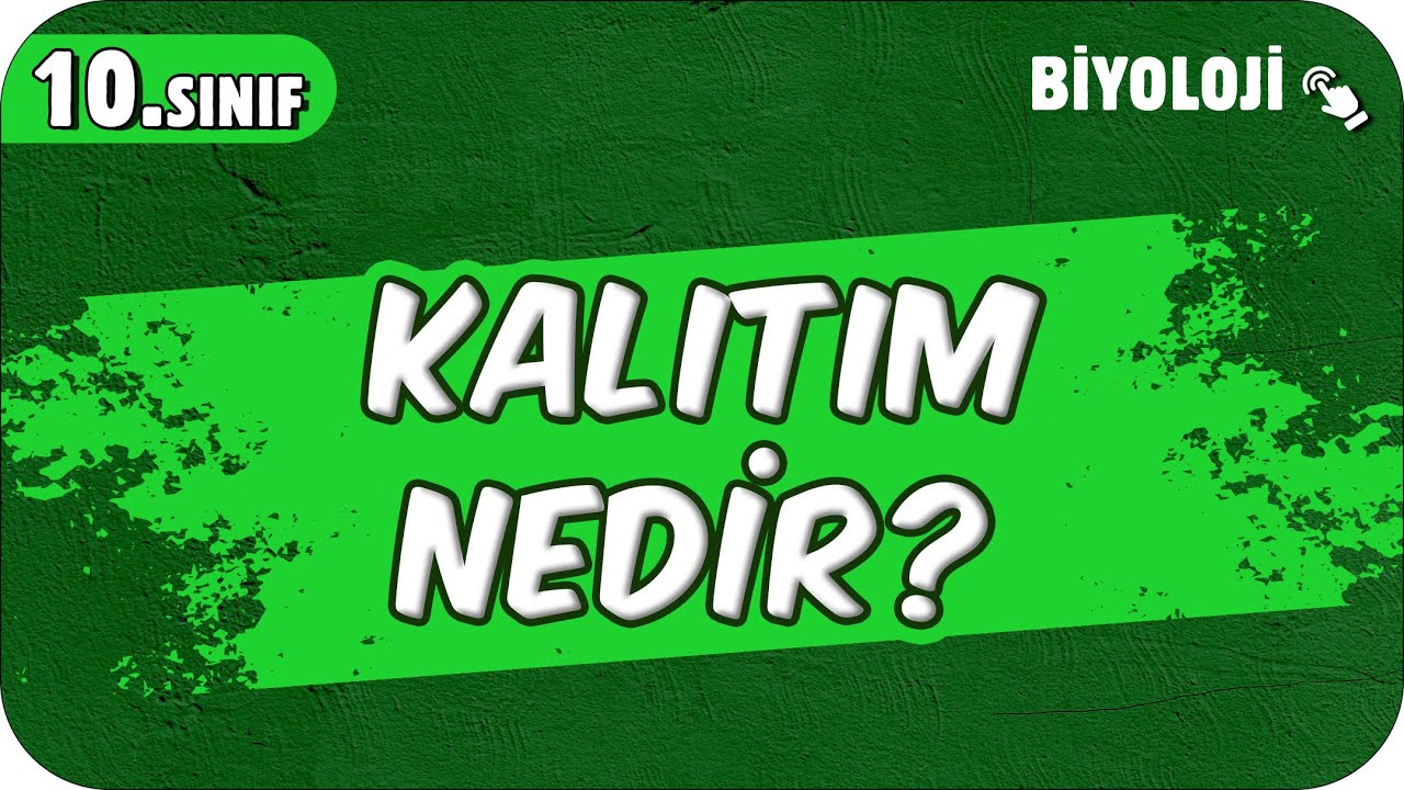 Kalıtım Nedir? Kalıtsal Kavramlar | 10.Sınıf Biyoloji #2025