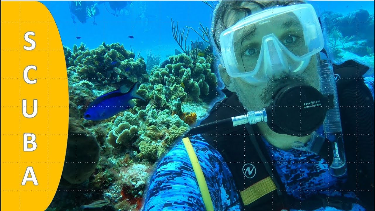 SCUBA Diving in Cozumel Mexico | Shore and Drift Dives