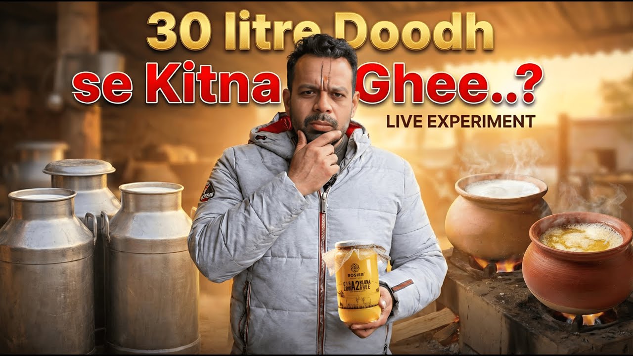 1 Litre A2 Desi Cow Ghee Making