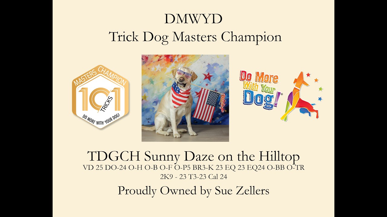 Do More With Your Dog Trick Dog Masters Champion With Sunny
