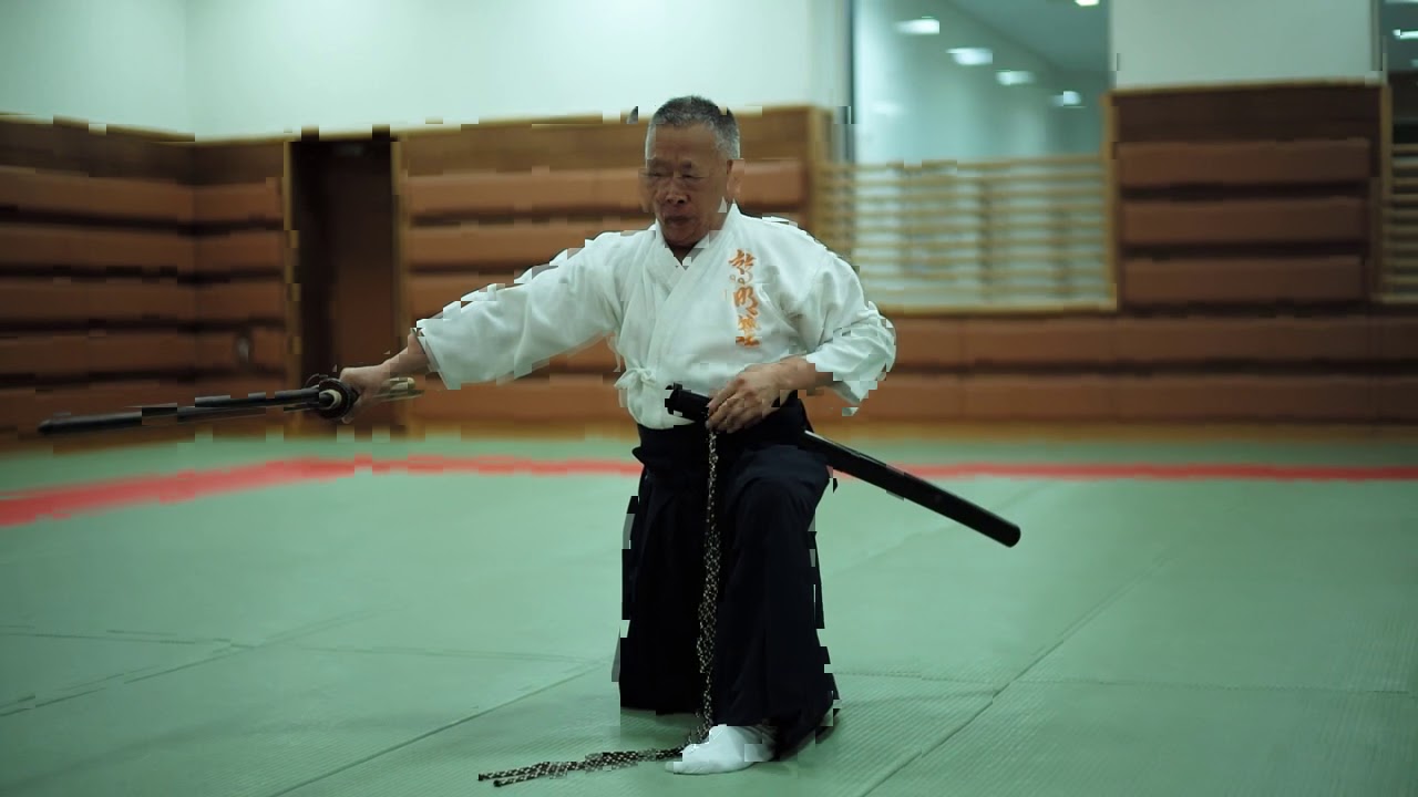 21 Сокэ МДЭР Секигути Сэнсей. Шодэн сэйдза.21 Soke Muso Jikiden Eishin Ryu iaijutsu Sekiguchi Sensei