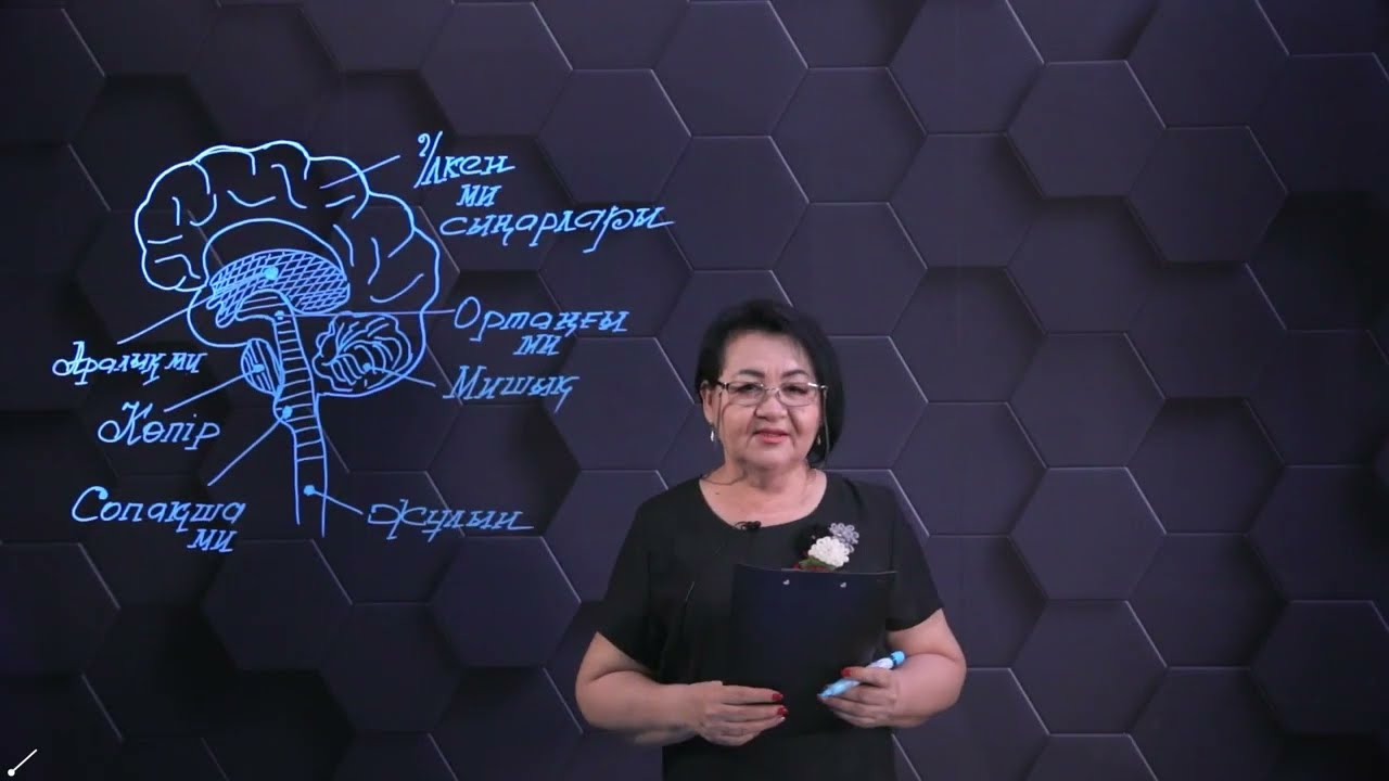 Мидың құрылысы мен қызметтері. 1 бөлім. 10 сынып.
