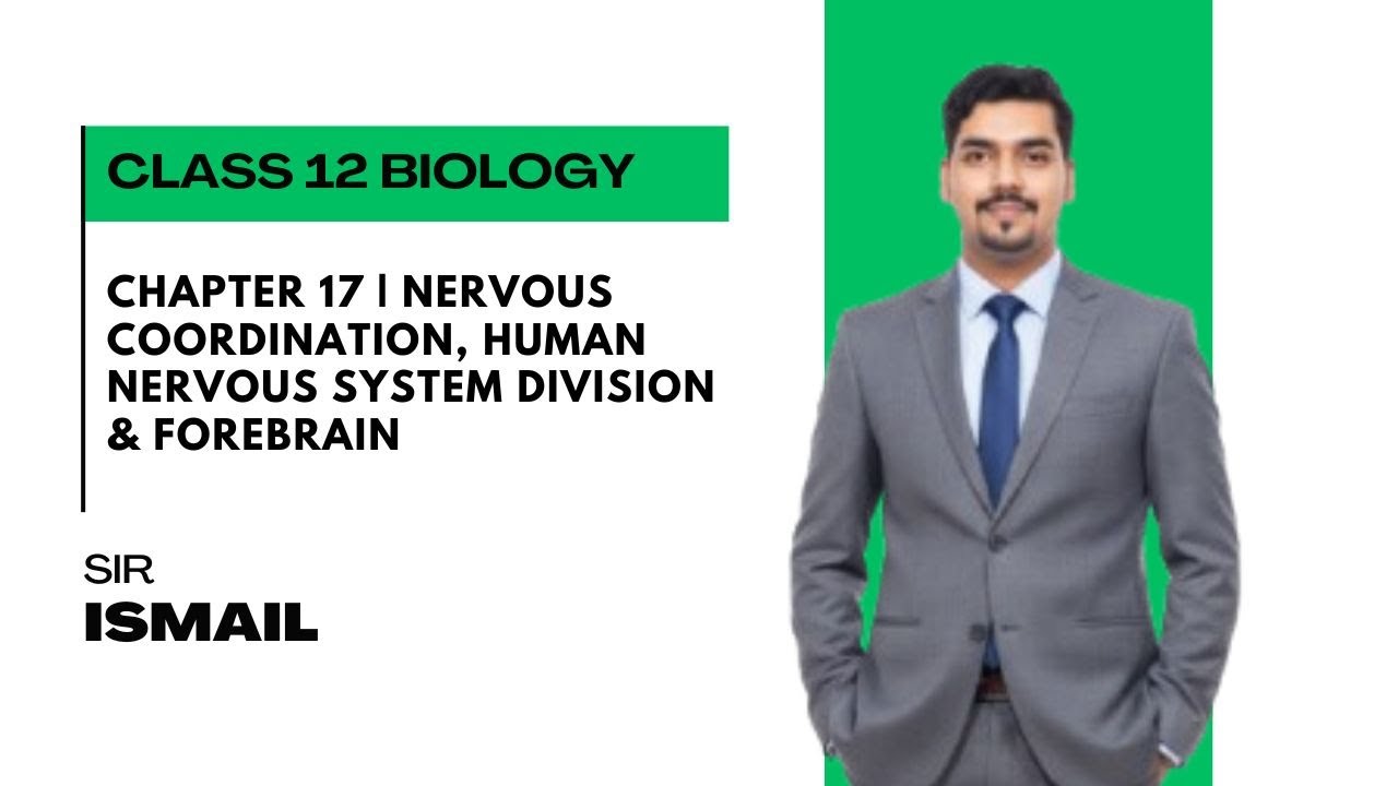 Chapter 17 | Nervous Coordination, Human Nervous System Division & Forebrain | Class 12 Biology