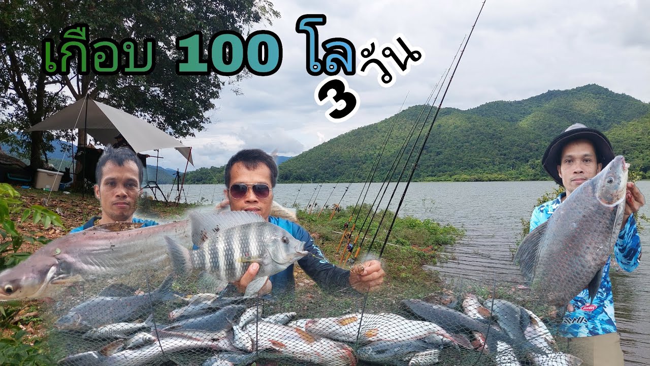 EP.87 ตั้งแคมป์ตกปลา 3 วัน 2 คืน ได้ปลาเกือบ 100 โล เขื่อนศรีนครินทร์