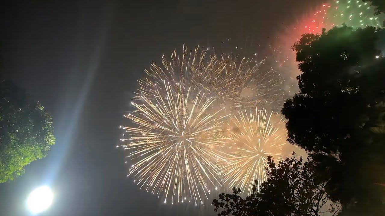 ✨ 🌸 Lunar New Year Holiday 🌸 ✨- PBL Vlogs 