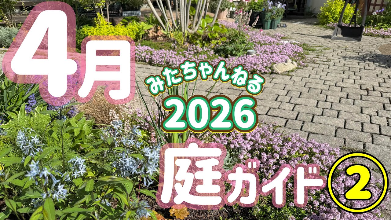 【4月庭ガイド②】ひとりでオープンガーデンやってるから良かったら来てね②
