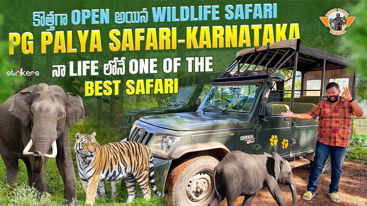 PG Palya Forest Safari || MM Hills Wildlife Sanctuary Karnataka|| Telugu Travel Vlogger || Strikers