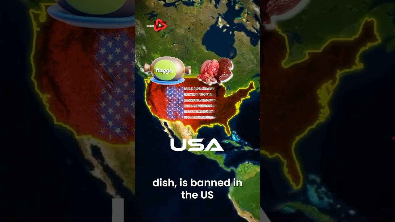 Banned! 5 Surprising Global Rules