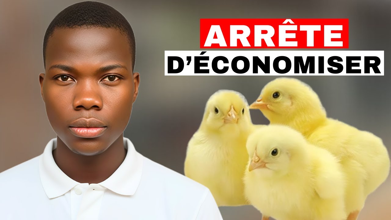 Voici pourquoi Tu dois Arrêter d'Économiser et Lancer ta ferme maintenant !