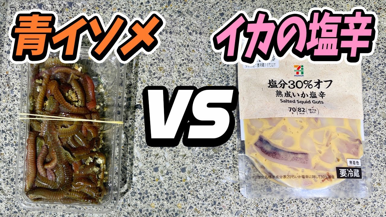 【名勝負】夜釣り最強餌はどっちだ？「青イソメ」VS「イカの塩辛」
