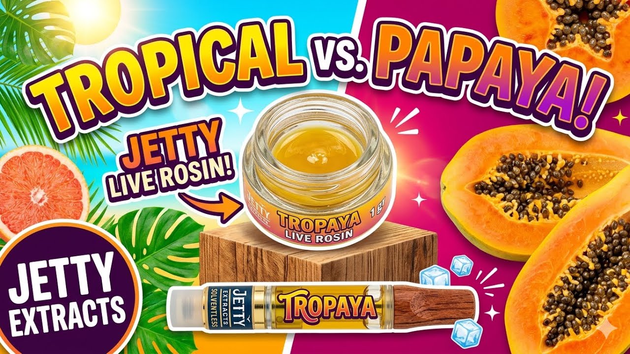 Jetty  - Tropaya Live Rosin