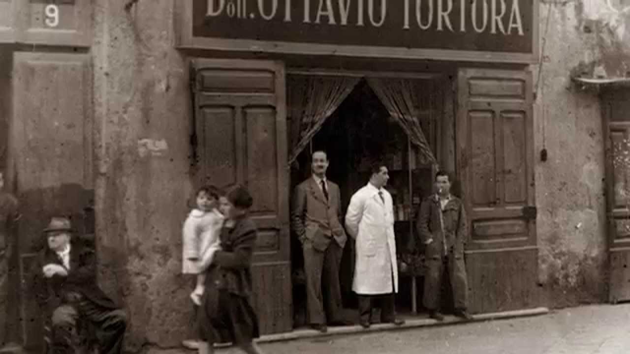 PRIMITIVAMENTE - Clip 
