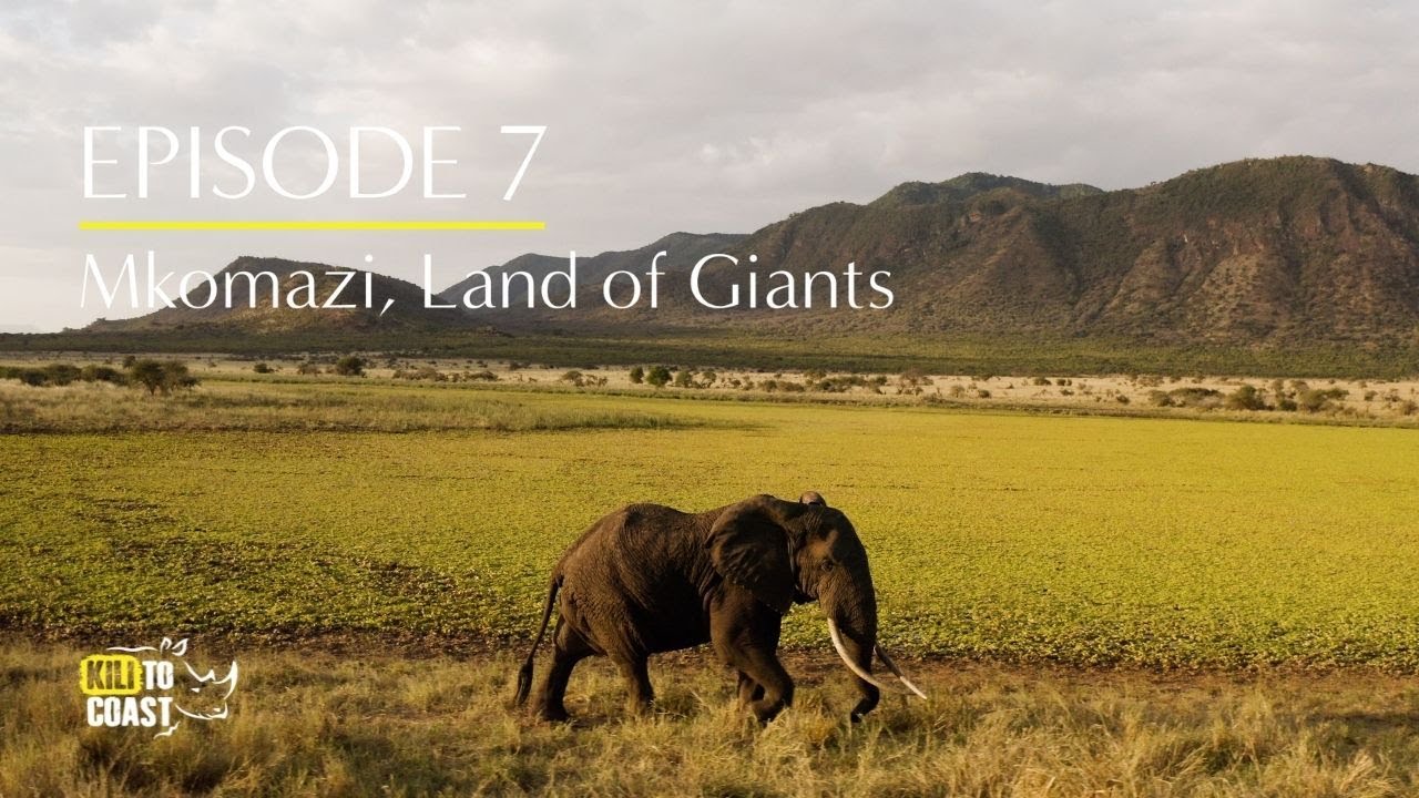 Kili to Coast Episode 7 - Mkomazi, land of Giants
